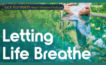 letting life breathe