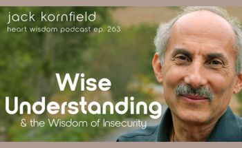 Wisdom of Insecurity