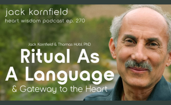 Ritual as a Language