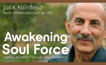 Awakening Soul Force