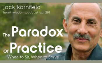 Paradox of Practice