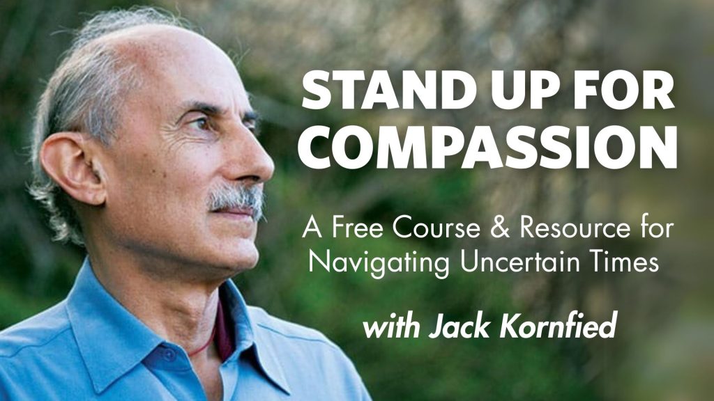 Stand Up For Compassion - Free Course and Resource for Navigating Uncertain Times