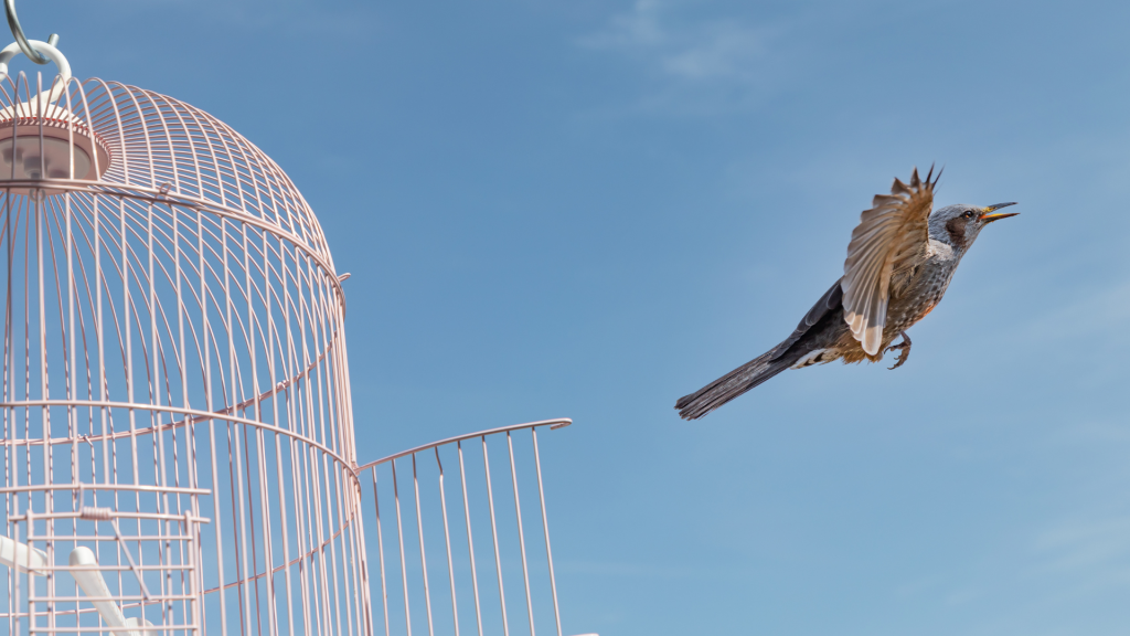 Letting Go of the Cage Surrender as the Path to Awakening